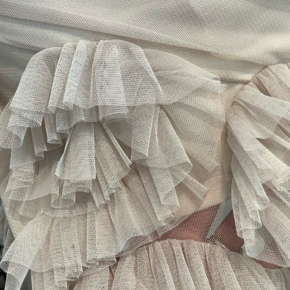 Max & Cleo Blush Formal Dress - Picture 4 of 6